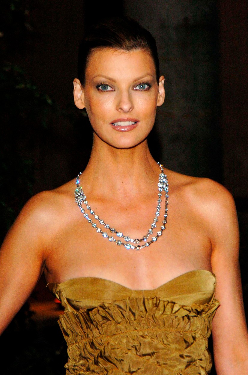 LINDA EVANGELISTA
Milan Fashion Week Spring/Summer Collection 2006
Closing Party by Vogue
September 30th, 2005,Image: 221060822, License: Rights-managed, Restrictions: *No sales in Germany, Switzerland, Austria or Sweden*, Model Release: no